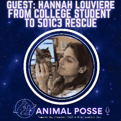 From Dorm Rooms to Rescue Rooms: Forgotten Felines Rescue of Louisiana