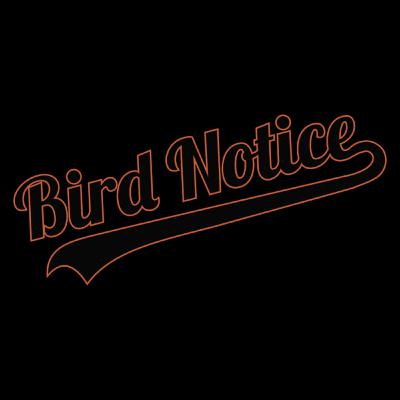The Birdland Murders