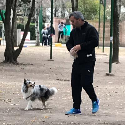 Vos tenes confianza en tu compañero