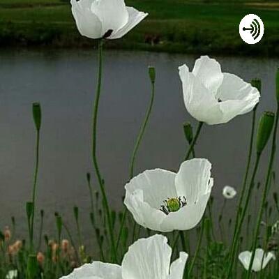 Serie tu salud importa