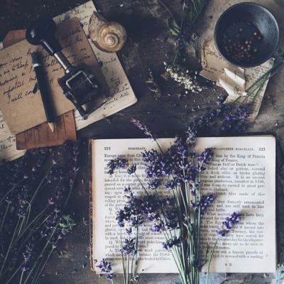 Lengua y Literatura - Luis Gustavo