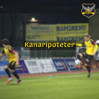 #156 - Kanaripoteter