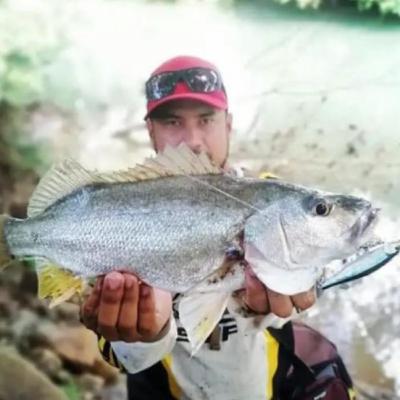 Le gane a mi compañero de Pesca.