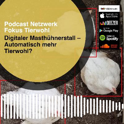 Digitaler Masthühnerstall - Automatisch mehr Tierwohl?