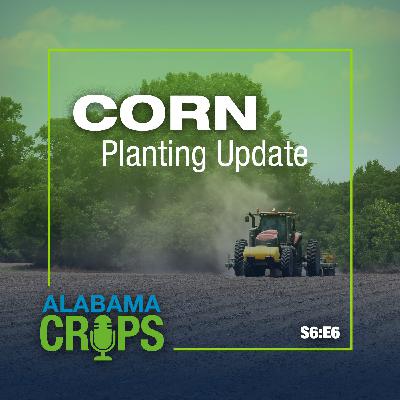 Season 6 Episode 6—Corn Planting Update Season 6 Episode 6—Corn Planting Update