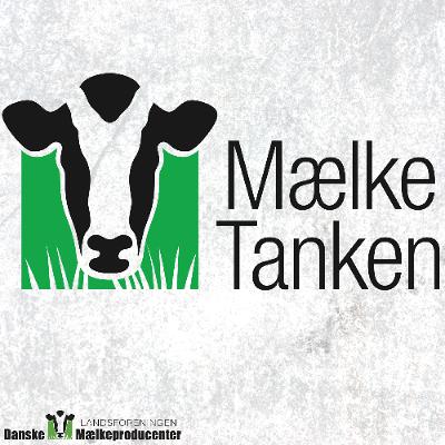 Mælketanken 2026 - April: Mælkeprisen halter – men markedet peger opad Mælketanken 2026 - April: Mælkeprisen halter – men markedet peger opad
