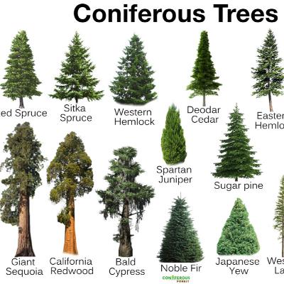 MATTHEW MCCONIFER - Ep.158 Ft. Adrian & Justin (Mortal Ground, Domestic Terror Productions)