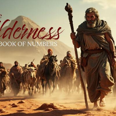 Numbers 13:26 - 14:4