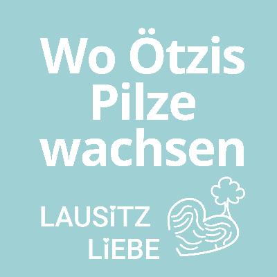 #9 Wo Ötzis Pilze wachsen - LausitzLiebe in der Gahroer Buchheide