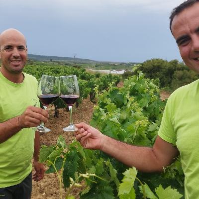Labastida - Bodegas Aimarez