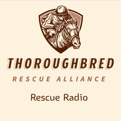 Horse Slaughter Pipeline and the Auction Lots