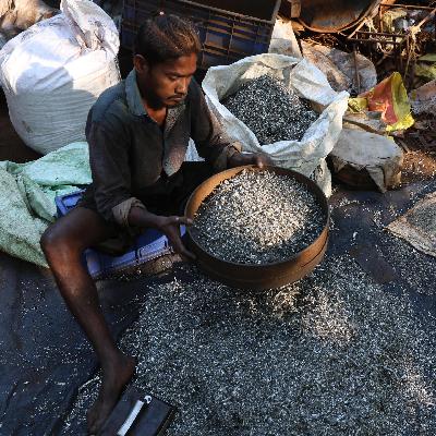 Seltene Erden - Wie Indien von China unabhängig werden will Seltene Erden - Wie Indien von China unabhängig werden will