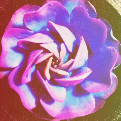 Chapter 21: Attention all passengers, we are now preparing for penetration.