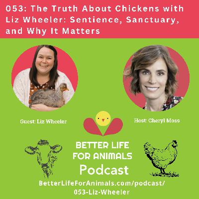 053: The Truth About Chickens with Liz Wheeler: Sentience, Sanctuary, and Why It Matters