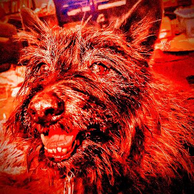 Cosmic Cairns - EP25