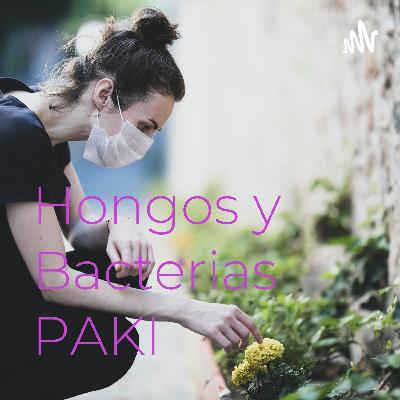 Hongos y Bacterias