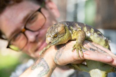 Wild cargo: Inside the Solomon Islands’ exotic pet industry