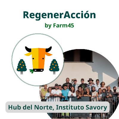 16. Manejo holístico en el norte peninsular de la mano del Hub del Norte del Instituto Savory