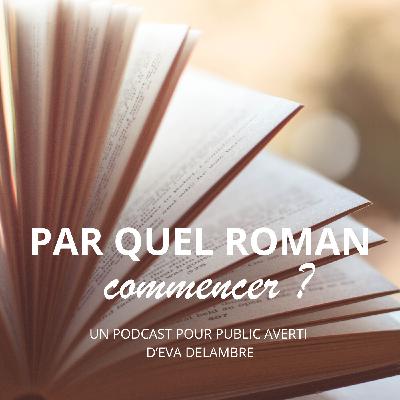 Par lequel de mes romans BDSM commencer ?