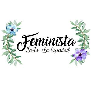 Sobre Feminista Hasta La Equidad