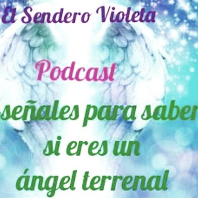7 señales para saber si eres un ángel terrenal