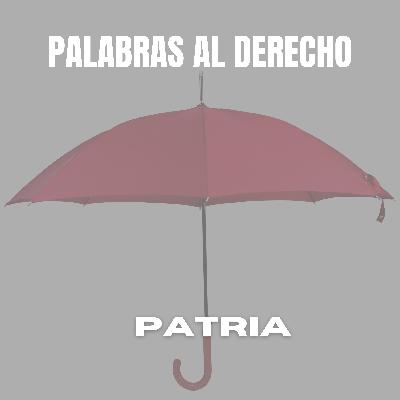 Patria de Fernando Aramburu
