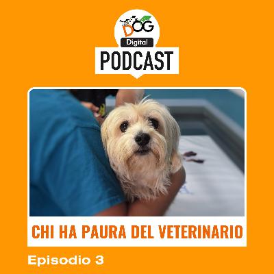 Chi ha paura del veterinario? Chi ha paura del veterinario?