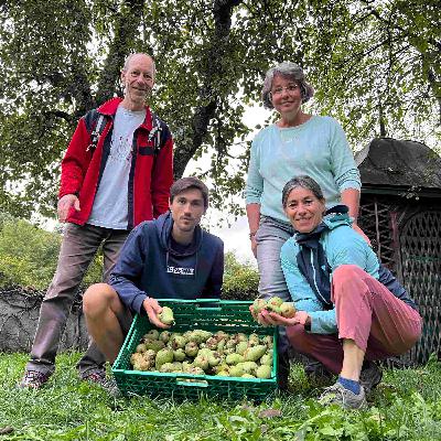 Ils sauvent les fruits abandonnés par solidarité