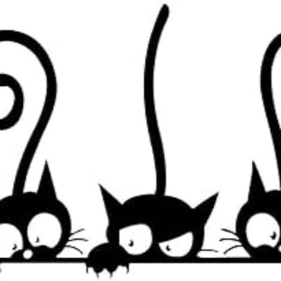 The "Spooky" Black Cat With Professor Proissant