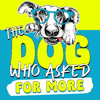 How to Support Rescue Dogs Through Training, Enrichment, and the Messy Middle How to Support Rescue Dogs Through Training, Enrichment, and the Messy Middle