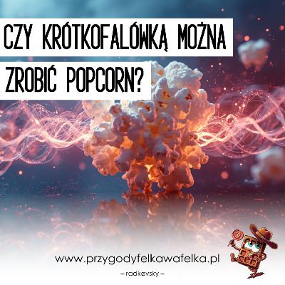 Czy krótkofalówką można zrobić popcorn? 🍿 nauka dla dzieci | Słodka Nauka (SNF_011)