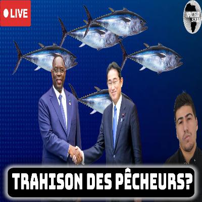🇸🇳 Macky Sall a-t-il vraiment développé la pêche au Sénégal… ou est-ce un mythe ?