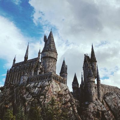Harry potter and the sorcerers stone chapter 5