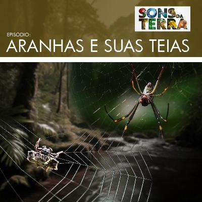 Aranhas e a incrível capacidade de construir teias