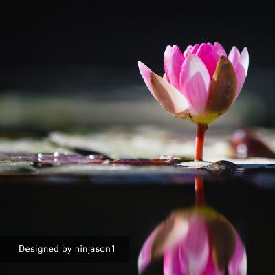Heal from the Inside Out Series #38: Vengeance is not a band-aid or cure.