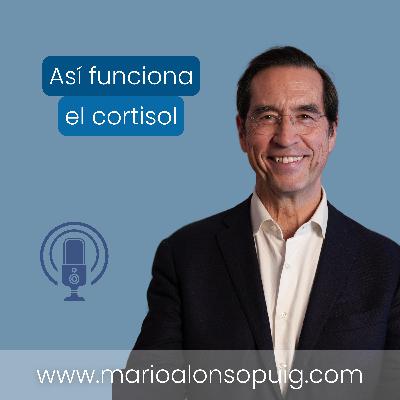 Cómo reducir el cortisol y el estrés: el poder de caminar juntos