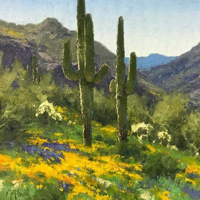 Finding your Inspiration with Matt Smith