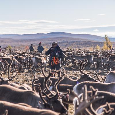Green Colonialism - How New Mines In Sweden Threaten The Saami
