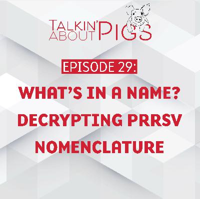 What's in a name? Decrypting PRRSV nomenclature