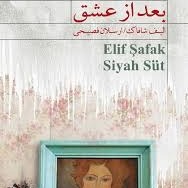 کتاب صوتی بعد از عشق با صدای مصی گودینی