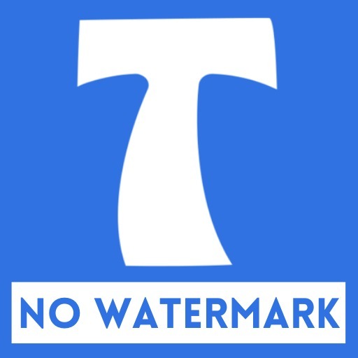 The Best Way to Download Tiktok Videos Without WaterMark
