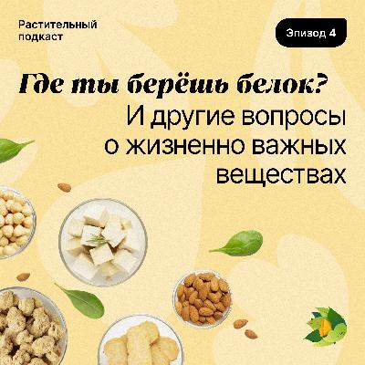 Где ты берёшь белок? И другие вопросы о жизненно важных веществах