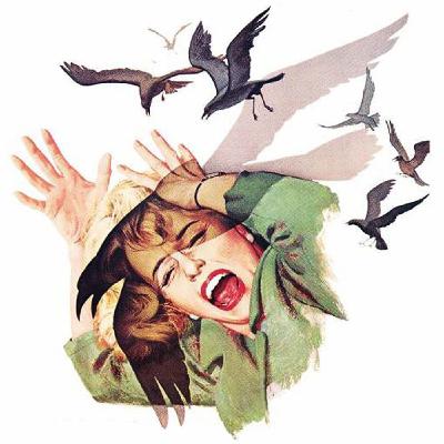 The Birds (1963): The Squawking Dead — How Hitchcock Made the First Zombie Apocalypse Movie