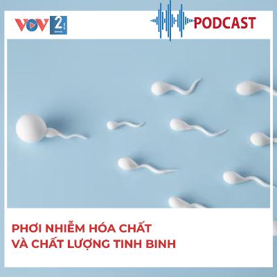 Phơi nhiễm hóa chất và chất lượng tinh binh