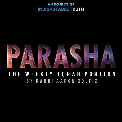 We’re all in This Together (Parsha Devarim)