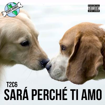 PERRO MUNDO SARÁ PERCHÉ TI AMO T2C6