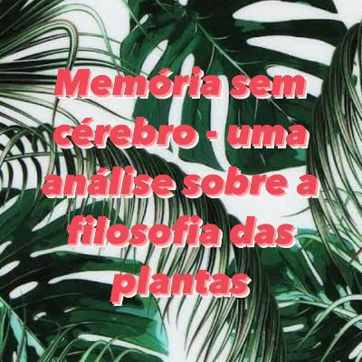 Memória sem cérebro - uma análise sobre a filosofia das plantas