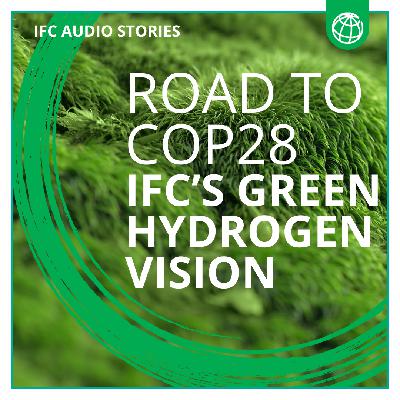 Road to Cop28: IFC’s Green Hydrogen Vision