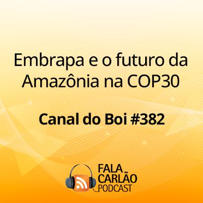 Embrapa e o futuro da Amazônia na COP30 | Canal do Boi #382 Embrapa e o futuro da Amazônia na COP30 | Canal do Boi #382