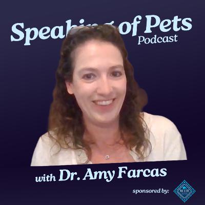 Expert Advice on Your Pet's Everyday Diet | Speaking of Pets ep. 97 - Dr. Amy Farcas Expert Advice on Your Pet's Everyday Diet | Speaking of Pets ep. 97 - Dr. Amy Farcas